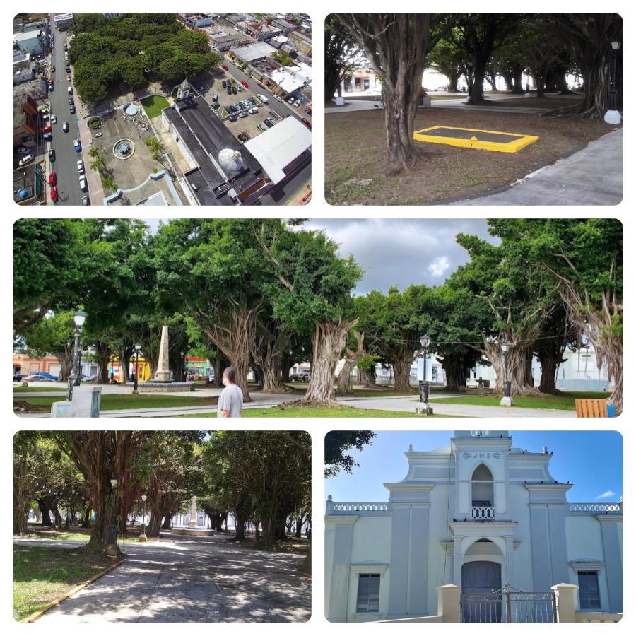 Lacasitadelmalecon Naguabo Luaran gambar