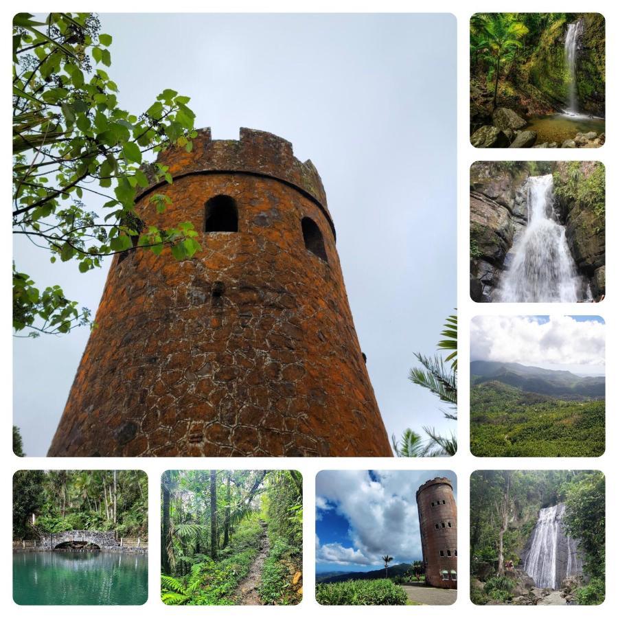 Lacasitadelmalecon Naguabo Luaran gambar